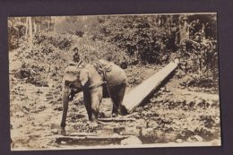 CPA Singapour Singapor Carte Photo RPPC Non Circulé éléphant - Singapur