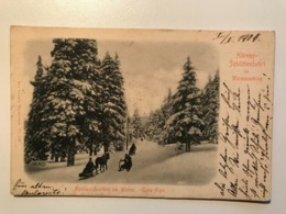 Austria Österreich Mürzzuschlag Hörner Schlittenfahrt Ski Traineau Winter Snow Alps 11634 Post Card Postkarte POSTCARD - Mürzzuschlag