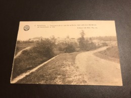 ROSSIGNOL : Panorama Vu De La Route De Les Bulles (Tintigny) - Tintigny