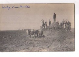 DIRE Soudan Francais Compagnie De Culture Cotonniere Du Niger, Carte Photo Nivelage D'une Termitiere - Soudan