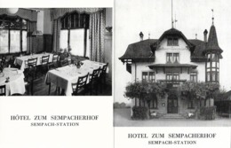 SEMPACH - STATION → Hotel Zum Sempacherho, Seltene Werbekarte, Ca.1950 - Sempach