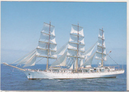 Uncirculated Postcard - Ships - The Tree-mastered , Full-rigged Dar Mlodziezy - Sailing Vessels