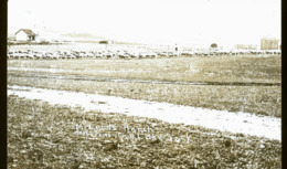 CANADA SHAUNAVON  EN 1922    PHOTO CARTE LE RANCH - Other & Unclassified