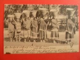 FINGOE GIRLS CARRYING ORANGES - Mozambique