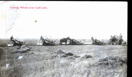 CANADA SHAUNAVON  EN 1922    PHOTO CARTE MOISSONNEUSES GULL LAKE - Autres & Non Classés