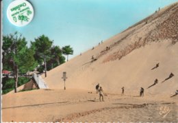 33 - Carte Postale Semi Moderne Dentelée De  ARCACHON   La Dune Du Pyla - Arcachon