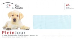 2 Enveloppes Personnalisées  Les Amis Des Aveugles (Ghlin - Mons - Bergen) Avec Chien Hond Dog Perro - Autres & Non Classés