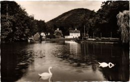 CPA AK Bad Bergzabern - Schwanenweiher Mit Erholungsheim GERMANY (913990) - Bad Bergzabern