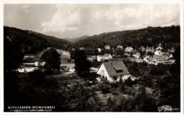 CPA AK Bad Bergzabern - Panorama GERMANY (913998) - Bad Bergzabern