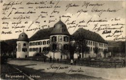 CPA AK Bad Bergzabern - Schloss GERMANY (914008) - Bad Bergzabern