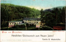 CPA AK Bad Bergzabern - Kurhaus Westenhofer GERMANY (914011) - Bad Bergzabern