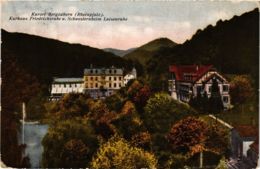 CPA AK Bad Bergzabern - Kurhaus Friedrichsruhe - Luisenruhe GERMANY (914019) - Bad Bergzabern