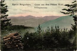 CPA AK Bad Bergzabern - Trifelspanorama GERMANY (914024) - Bad Bergzabern