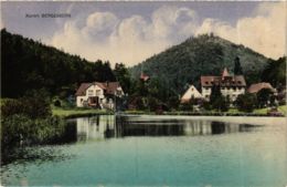 CPA AK Bad Bergzabern - Town Scene GERMANY (914039) - Bad Bergzabern