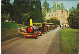 61 Bagnoles De L'orne Tesse La Madeleine Le Petit Train Dans Le Parc - Bazoches Sur Hoene