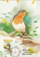 Birds - Roodborstje - Rotkehlchen - Rouges-gorges - Robin - Hirondelles