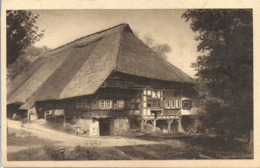 CPA Bauernhof In Gutach - Gutach (Breisgau)