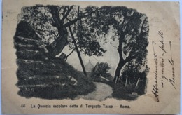 V 10397 - La Quercia Secolare Detta Di Torquato Tasso - Roma - Parks & Gärten