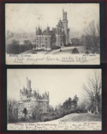 2 Postkaarten Van ANTOING - LE CHATEAU + VUE DE L'ENTREE DU PARC Met Frankering FIJNE BAARD NR. 58 ; Staat Zie 2 Scans ! - Antoing