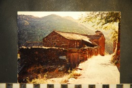 CP 07  Cévennes, Région Des Vans. Thines - Sonstige & Ohne Zuordnung