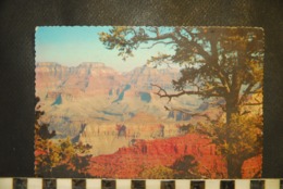 CP USA Grand Canyon Of Northern Arizona, Mather Point - Gran Cañon
