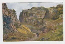 AC004 - ANGLETERRE - Cheddar Gorge - Illustration Ar. Quinton - Cheddar