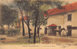 94-JOINVILLE- HARAS DE JOINVILLE- VUE SUR LES BOXES - Joinville Le Pont