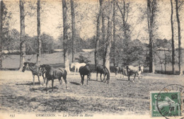 94-ORMESSON- LA PRAIRIE DU HARAS - Ormesson Sur Marne