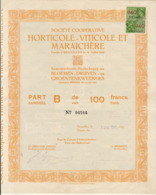 HORTICOLE VITICOLE MARAICHERE Fondée à Bruxelles En 1900 Belgique Bloemen Druiven Groentenweekers - Agriculture