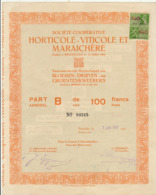 HORTICOLE VITICOLE MARAICHERE Fondée à Bruxelles En 1900 Belgique Bloemen Druiven Groentenweekers - Agriculture