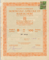 HORTICOLE VITICOLE MARAICHERE Fondée à Bruxelles En 1900 Belgique Bloemen Druiven Groentenweekers - Agriculture