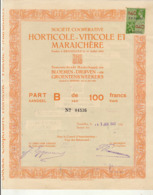 HORTICOLE VITICOLE MARAICHERE Fondée à Bruxelles En 1900 Belgique Bloemen Druiven Groentenweekers - Agriculture