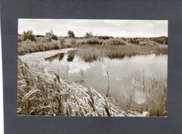 88859   Germania,   Bredstedt/Schleswig,  Bordelumer Heide,  VG  1956 - Bredstedt