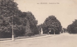 Cp , 67 , SÉLESTAT , Entrée De La Ville - Selestat