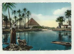 EGYPT - THE PYRAMIDS DURING NILE FLOOD  VIAGGIATA FG - Sonstige & Ohne Zuordnung