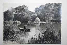 77 : Bagneaux Sur Loing  - Un Coin De Pêche  Près Du Moulin De Portonville (  Pêcheur à La Ligne ) - Bagneaux Sur Loing