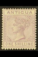 1884-87  1s Mauve, SG 30, Mint Large Hinge Area, Attractive. For More Images, Please Visit Http://www.sandafayre.com/ite - Other & Unclassified