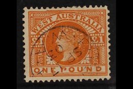 WESTERN AUSTRALIA  1902-11 £1 Orange Brown, Perf 12 X 12½, SG 128, Fine Cds Used For More Images, Please Visit Http://ww - Other & Unclassified