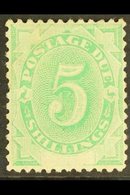 POSTAGE DUES  1902 5s Emerald Green, White Space At Foot, SG D8, Very Fine Mint. For More Images, Please Visit Http://ww - Other & Unclassified