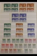 1937-52 KGVI MINT ACCUMULATION  Presented On Stock Book Pages That Includes 1937 Coronation Sets As Singles  & Marginal  - Andere & Zonder Classificatie