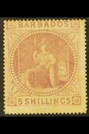 1873  5s Dull Rose Britannia, SG 64, An Attractive Mint Example With Good Colour And Large Part Gum. For More Images, Pl - Barbades (...-1966)