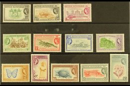 1953-62  Complete Definitive Set, SG 179/90, Never Hinged Mint (12 Stamps) For More Images, Please Visit Http://www.sand - British Honduras (...-1970)