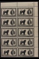 1937  14c Black Additional Coronation - Dog Perf 13½, SG 262b, Superb Never Hinged Mint Upper Right Corner BLOCK Of 10 ( - Autres & Non Classés
