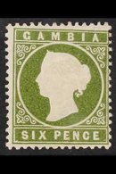 1886-93  6d Olive-green SLOPING LABEL Variety Position R. 1/5, SG 32da, Fine Mint, Fresh. For More Images, Please Visit  - Gambie (...-1964)