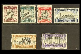 LIBYA  1929 Third Tripoli Fair Complete Set, SG 63/68 (Sassone Libya 81/86), Fine Mint, 5L Expertized A. Diena, Fresh. ( - Other & Unclassified