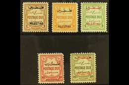 OCCUPATION OF PALESTINE  1948 Postage Due Set, Perf 12, Complete, SG PD25/9, Very Fine And Fresh Mint. (5 Stamps) For Mo - Jordanië