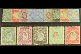 1904 - 7  Ed VII Set To 5r Complete, Wmk MCA, SG 17/30, Very Fine Mint. (13 Stamps) For More Images, Please Visit Http:/ - Vide