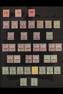 JOHORE  1884-1960 MINT COLLECTION Presented On Stock Pages That Includes Sets, Top Values, Watermark Varieties & Punctur - Sonstige & Ohne Zuordnung