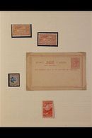 1898-1981 MINT & USED DEFINITIVES  COLLECTION Housed In Two Volumes, Includes LOTS OF BLOCKS, We See A Few 1898/1900 Sta - Other & Unclassified