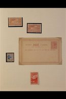 1898-1981 MINT & USED DEFINITIVES  COLLECTION Housed In Two Volumes, Includes LOTS OF BLOCKS, We See A Few 1898/1900 Sta - Autres & Non Classés